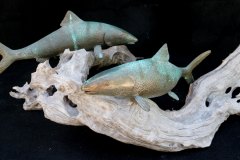 fish-petes-gallery-img16