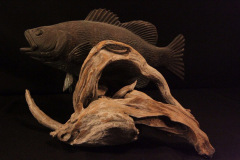 fish-petes-gallery-img52