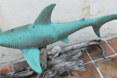 petes-sharks-img7