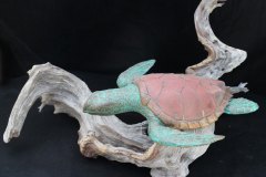 turtles-petes-gallery-img10
