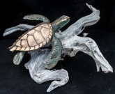 turtles-petes-gallery-img11