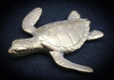 turtles-petes-gallery-img13