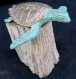 turtles-petes-gallery-img14