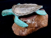 turtles-petes-gallery-img16