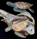 turtles-petes-gallery-img6